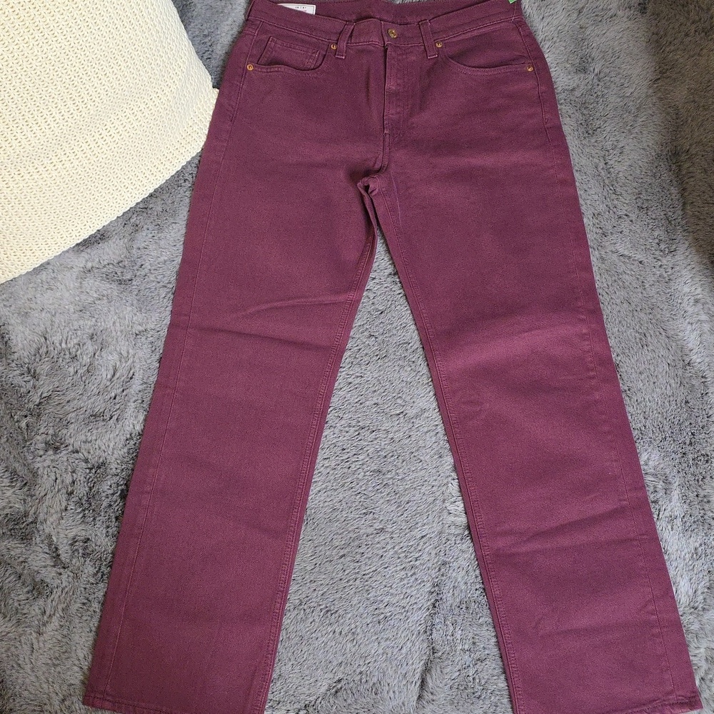 GAP New Mid-Rise '90s Loose Plum Jeans with Washwell  28 Regular 6